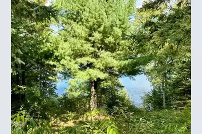 18942 Heart Lake Lane, Park Rapids, MN 56470 - Photo 25