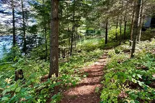 18942 Heart Lake Ln, Park Rapids, MN 56470 - Photo 23
