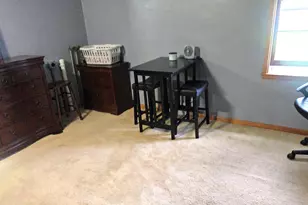 233 N 1st Ave E, Truman, MN 56088 - Photo 15