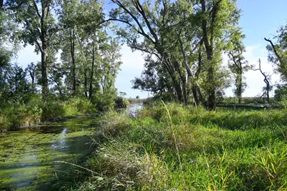 000 State  Highway 99, Nicollet, MN 56074 - Photo 11