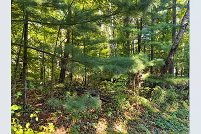 Lot 1 & 2 Bluegill Avenue N, Webster, WI 54893 - Photo 9