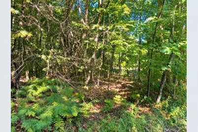 Lot 1 & 2 Bluegill Avenue N, Webster, WI 54893 - Photo 11