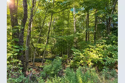 Lot 1 & 2 Bluegill Avenue N, Webster, WI 54893 - Photo 15