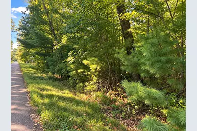 Lot 1 & 2 Bluegill Avenue N, Webster, WI 54893 - Photo 19