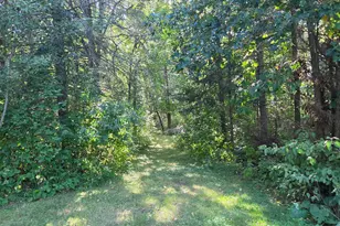 26179 Raleigh Hill Rd, Shevlin, MN 56676 - Photo 47