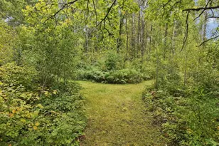 26179 Raleigh Hill Rd, Shevlin, MN 56676 - Photo 59