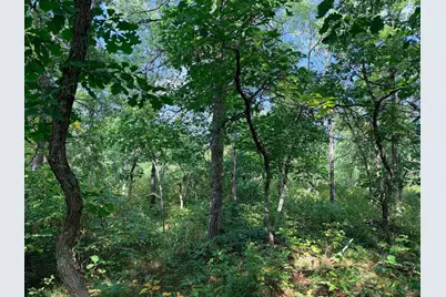 Tbd County 119, Nevis, MN 56467 - Photo 11