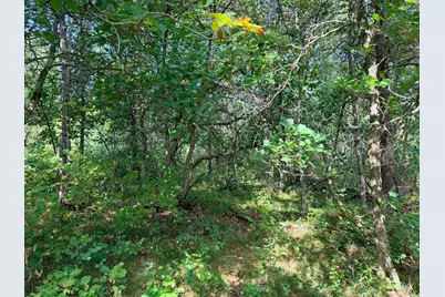 Tbd County 119, Nevis, MN 56467 - Photo 13