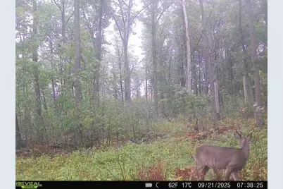 Xxx Fleming Logging Road, Hinckley, MN 55037 - Photo 5