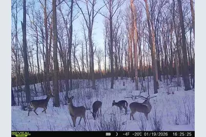 Xxx Fleming Logging Road, Hinckley, MN 55037 - Photo 9