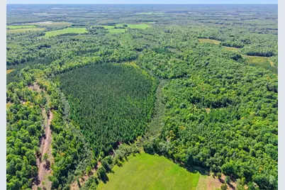 Xxx Fleming Logging Road, Hinckley, MN 55037 - Photo 69