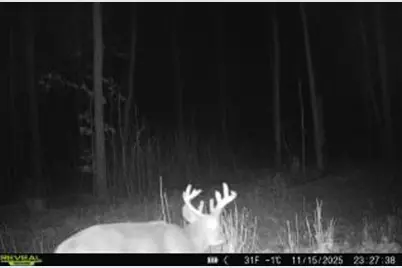 Xxx Fleming Logging Road, Hinckley, MN 55037 - Photo 11