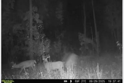 Xxx Fleming Logging Road, Hinckley, MN 55037 - Photo 7