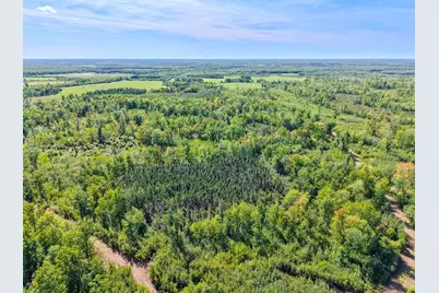 Xxx Fleming Logging Road, Hinckley, MN 55037 - Photo 87