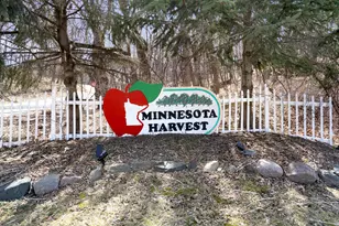 1233 Edge Cir, Jordan, MN 55352 - Photo 21