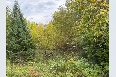 38812 Outback Drive, Laporte, MN 56461 - Photo 37
