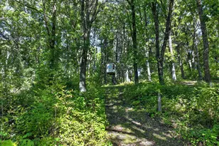 50540 Snow Lake Rd, Vining, MN 56588 - Photo 61