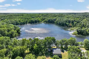 50540 Snow Lake Rd, Vining, MN 56588 - Photo 3