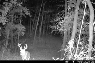 50540 Snow Lake Rd, Vining, MN 56588 - Photo 89