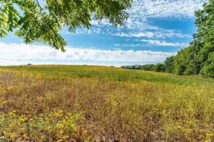 13890 County Rd 1 NW, Evansville, MN 56326 - Photo 57