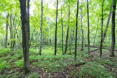20 Acres 153rd Avenue, Balsam Lake, WI 54810 - Photo 9