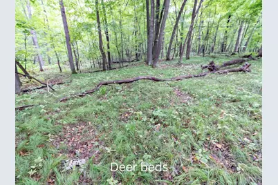 20 Acres 153rd Avenue, Balsam Lake, WI 54810 - Photo 11