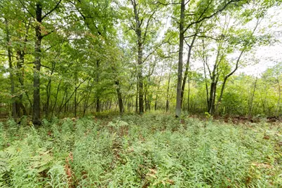 20 Acres 153rd Avenue, Balsam Lake, WI 54810 - Photo 7