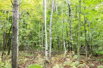 20 Acres 153rd Avenue, Balsam Lake, WI 54810 - Photo 5
