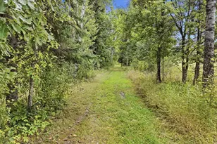 10104 Three Bridges Rd, Cook, MN 55723 - Photo 39