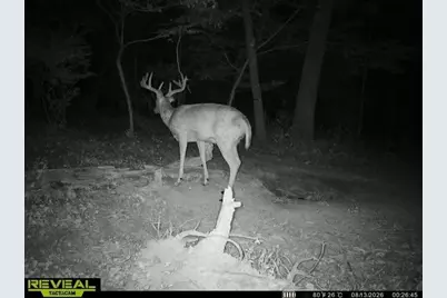 Tbd County Road I, Pepin, WI 54759 - Photo 13