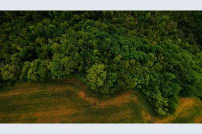 Tbd County Road I, Pepin, WI 54759 - Photo 5