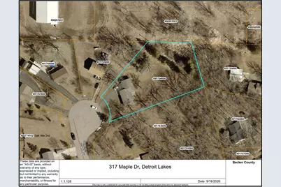 317 Maple Drive, Detroit Lakes, MN 56501 - Photo 55