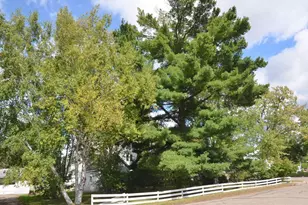 303 Park Ave N, Park Rapids, MN 56470 - Photo 7
