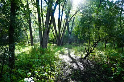 0000 17th St, Clear Lake, MN 55319 - Photo 27
