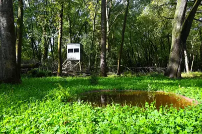 0000 17th St, Clear Lake, MN 55319 - Photo 23