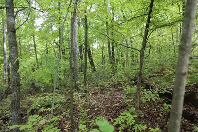 468Xx Sugarbrush Circle, Garrison, MN 56450 - Photo 7