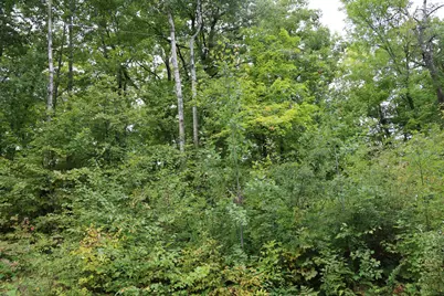 468Xx Sugarbrush Circle, Garrison, MN 56450 - Photo 3