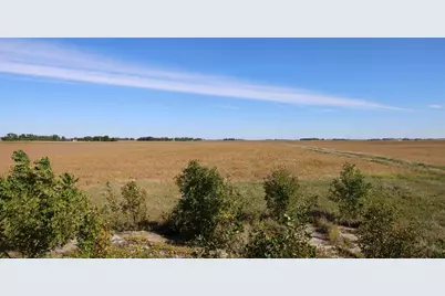81893 470th Street, Hector, MN 55342 - Photo 3