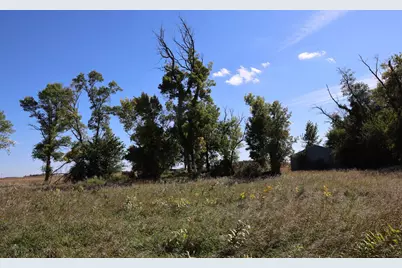81893 470th Street, Hector, MN 55342 - Photo 11