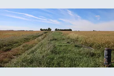 81893 470th Street, Hector, MN 55342 - Photo 1