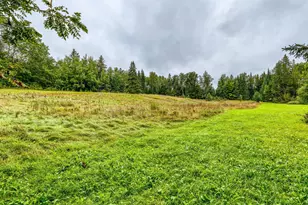 11081 Hillcrest Dr NE, Bemidji, MN 56601 - Photo 49