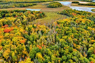 Lot 12 Beaver Dr, Brainerd, MN 56401 - Photo 1