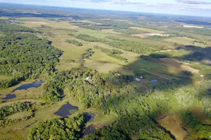 Tbd 325th Ave, Long Prairie, MN 56347 - Photo 1