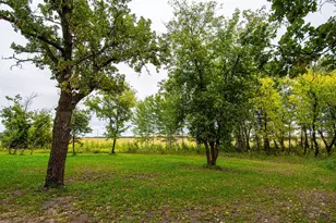 4341 State Hwy 11, Karlstad, MN 56732 - Photo 47