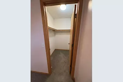 911 Morrison Avenue S, Annandale, MN 55302 - Photo 11