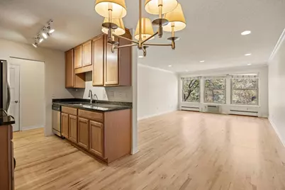 821 Douglas Avenue #204, Minneapolis, MN 55403 - Photo 9