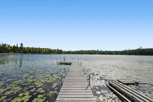 62242 Dahlberg Trl, Togo, MN 55723 - Photo 37