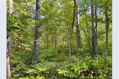 266 Lake Hattie Drive NW, Backus, MN 56435 - Photo 21