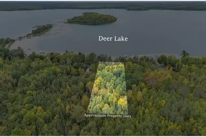 34838 Deer Path Drive, Deer River, MN 56636 - Photo 29