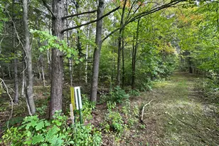 Tbd W Fork Rd, Sandstone, MN 55072 - Photo 1